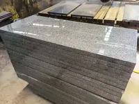 G654 Dalle de granit Excellente dalle de granit noir absolu pour les marches d'escalier Bon prix Granit noir Galaxy 30mm avec paillettes