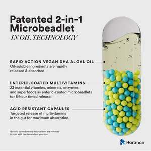 Multivitamines quotidiennes pour hommes avec du zinc et des vitamines B pour stimuler l'énergie, l'immunité et la santé globale - Product Image 5