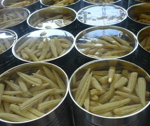Good Price <b>Canned</b> <b>Food</b> Supplier <b>Canned</b> Vegetables Health Delicate Sweet Flavor 400g/800g/2840g <b>Canned</b> Baby Corn - Product Image 4