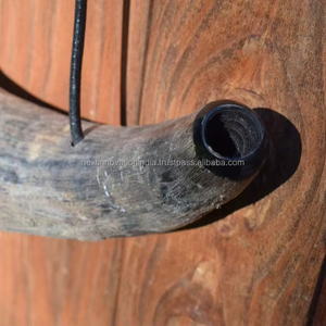 Cuerno de sonido tradicional de alta calidad para festivales, eventos y ceremonias - Product Image 3