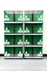 <span class=keywords><strong>Cage</strong></span> à oiseaux empilable en stock, grande <span class=keywords><strong>cage</strong></span> de reproduction pour oiseaux, <span class=keywords><strong>cage</strong></span> en métal pour perroquets, volière extérieure, <span class=keywords><strong>cage</strong></span> à pigeons mobile - Product Image 3