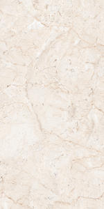 Tuiles vitrifiées populaires 600X1200mm de foor de porcelaine de conception de haute résolution fabriquant en Inde pour Banquete Hall. - Product Image 3