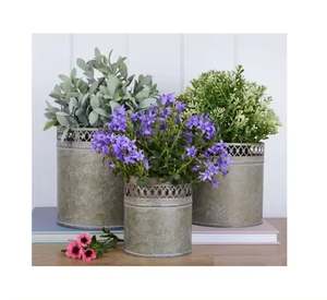 Contenedor de maceta de plantas de forma y tamaño personalizado hecho de galvanizado para decoración de jardín doméstico macetas contenedor de hierbas - Product Image 2