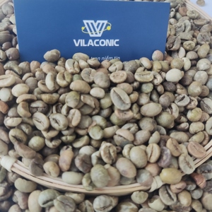 Granos de café verde Robusta de la mejor calidad de VILACONIC GROUP OEM/ODM Semillas tostadas listas para exportar Origen de Vietnam Contacto + 84 - Product Image 2