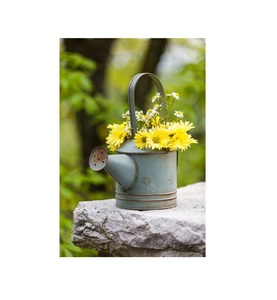 Maceta Decorativa para el Hogar y Regadera de Diseño Premium, Regadera Galvanizada para Jardín y Patio a Precio Económico - Product Image 2