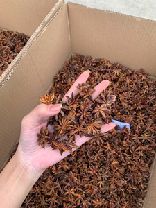 Dried Star Anise Hot Selling <b>Product</b> Raw Material Viet Nam <b>Herbs</b> and Spicy Premium Quality Bold flavour WS+84359166896 - Product Image 3