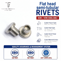 TianFang Rivets Semi-Tubulaires à Tête Plate OEM pour Machine Industrielle, Certifié IATF 16949
