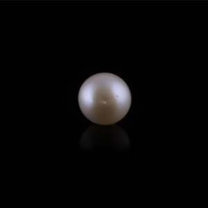 ไข่มุกน้ำจืดทรงกระดุมน้ำหนัก 11.35 กะรัต - Product Image 2