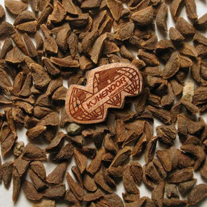 Semillas de Harmal, Grado Puro, Orgánicas, Aplicación Medicinal y Herbal, Grado Agrícola A1, Kohenoor International, Vida Útil de 3 Años - Product Image 3