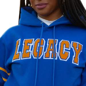 Sudadera con Capucha Azul y Dorada SGRHO Legacy Winter, Ropa Deportiva de la Hermandad, Forro Polar 100% Algodón para Estudiantes Universitarios y Ropa de Vida Griega - Product Image 3