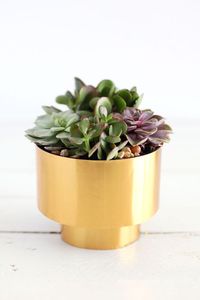 TQC Glossy Golden Finished Flower pot Modern EcoFriendly Hot Selling Luxury Aluminum Tabletop Decorative Flower <b>Vase</b> Living Room - Product Image 4