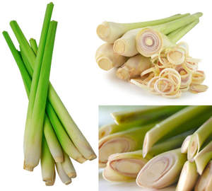 HIERBA DE LIMONO FRESCA BRILLANTE Y TIERRA/RECETA FAMILIAR/VALOR ASEQUIBLE/HECHO EN VIETNAM - Product Image 3