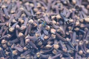 Produit de l'agriculture crue de clou de girofle frais séché pour le thé et les bienfaits pour la santé - Product Image 2