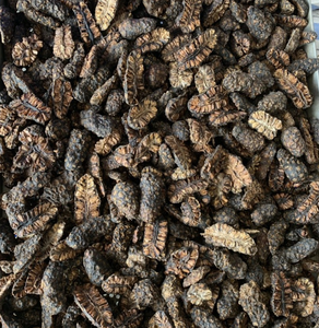 ส่วนผสมตากแห้งผลไม้โนนิธรรมชาติจากเวียดนามสำหรับการผลิตน้ำผลไม้และการทำอาหาร - Product Image 3