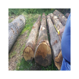 Seasoned beech <b>wood</b> <b>logs</b> for sale perfect for fireplaces <b>wood</b> <b>burning</b> stoves outdoor fire pits and eco friendly heating - Product Image 4