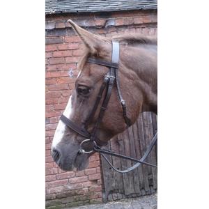 Brida Grackle Cuero anatómico Costura elegante Brida Comodidad Totalmente acolchada con riendas negra - Product Image 5