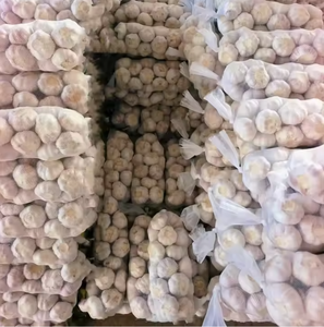 Ail frais du Vietnam de qualité supérieure - Marque TINIMEX Saveur naturelle Fournisseur en gros en vrac de Hai Duong - Product Image 4