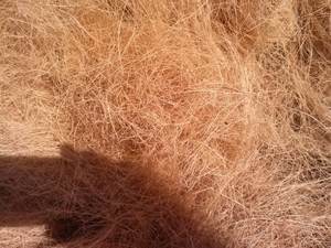 Tissu de dentelle durable en fibre de coquille de noix de coco de haute qualité pour la production de matelas du Vietnam pour l'exportation en 2025 prix super chaud - Product Image 3