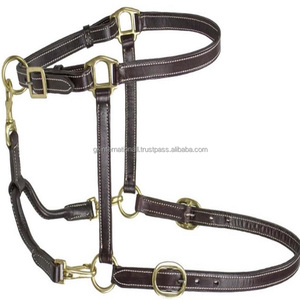 Licou de cheval personnalisé Double couture entièrement réglable en cuir marron Havana de toutes tailles et couleurs avec quincaillerie en laiton solide - Product Image 3