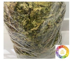 Mejor oferta Hojas de papaya secas Té de papaya seco Natura Grado superior natural puro Hojas de papaya secas cultivadas en Vietnam para el bienestar - Product Image 2