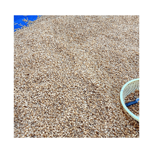 Dried Longan chewy rounds, material: pure longan flesh; use: tea brewing; origin: Vietnam premium dried goods - Product Image 6