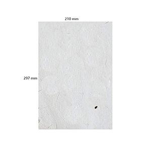 Papel Plantable Hecho a Mano, Tamaño A4, Hojas Biodegradables Ecológicas, Impresión Digital, Laminación Mate para Negocios Promocionales - Product Image 1