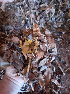 100% feuilles et écorces de poudre de Joss pour la fabrication d'encens Agarbatti matériel industriel de haute qualité fabriqué au Vietnam - Product Image 2