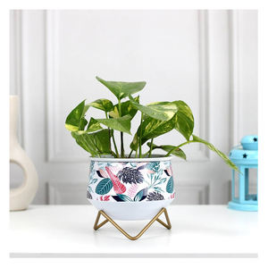 Jardinière en métal de taille personnalisée pour décoration intérieure et extérieure de la maison Jardinière en or moderne avec support Pot de fleur élégant pour jardin et salon - Product Image 4