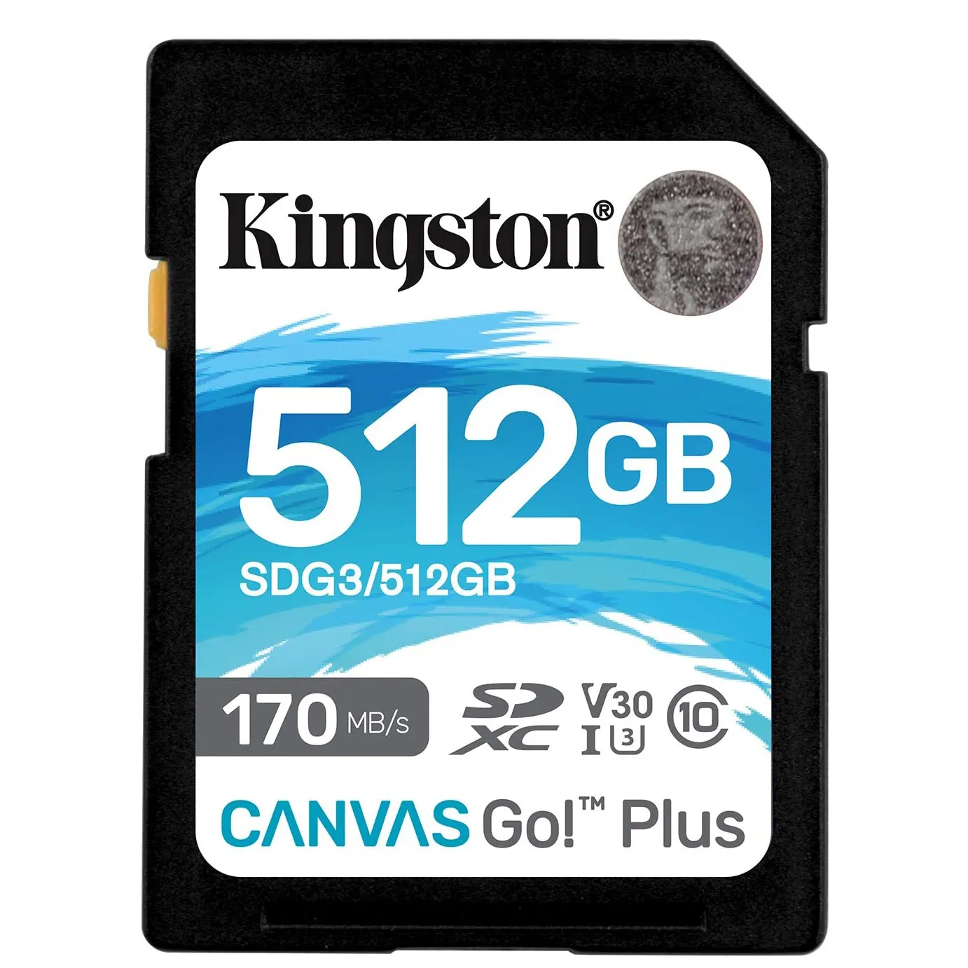 Kingston – carte mémoire 64 Go 128 Go 256 Go 512 Go SDXC Canvas Go Plus 170 mo/s lecture UHS-I C10 U3 V30 carte SD haute vitesse 4K