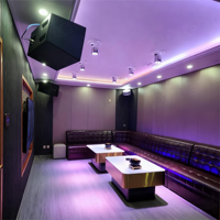 Cabine mobile KTV Apple équipée d'un ensemble complet d'équipements audio et vidéo adaptés à l'espace privé ou aux réunions de famille