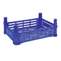 DPK15 Assiettes et bols élégants en plastique 40x30x15cm – Rangement et service pratiques pour fraises – Caisse premium pour dinde