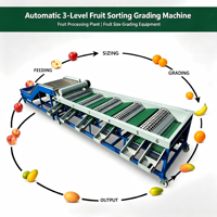 Automatische 3-traps fruit sorteermachine voor fruitverwerkingsbedrijven, apparatuur voor het sorteren op fruitgrootte
