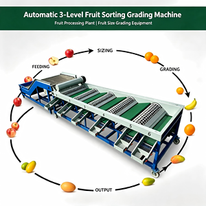 Automatic 3‑Level Fruit Sorting Grading Machine for Fruit Processing Plant Fruit Size Grading Equipment - Product Image 1