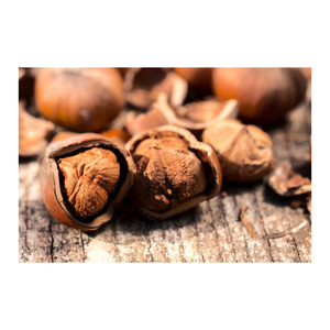 เฮเซลนัทขายส่งจำนวนมากมาพร้อมกับความสดที่เชื่อถือได้ - Product Image 6