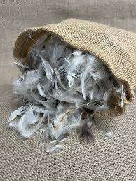 Plumas de pato teñidas de primera calidad, artesanías lavadas con patrón natural para accesorios de ropa, venta directa al por mayor de Bangladesh - Product Image 4