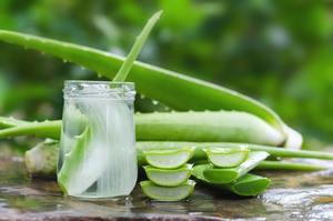 Polvo de aloe vera fresco natural de calidad seleccionada como materia prima para la producción de alimentos para especias y hierbas - Product Image 6