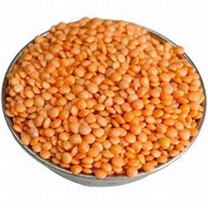 Lentilles rouges entières biologiques saines et pures disponibles à la vente au prix d'usine - Product Image 5