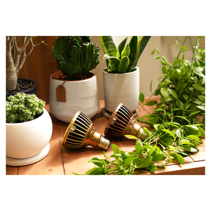 TSKUYOMI 10W Akadamachan LED Acuario Luz Altamente Aprobada Mejor Calidad Plantas Subacuáticas Crecen Luz con Base E26 - Product Image 1