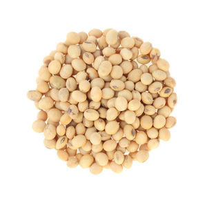 Soja a la venta con calidad constante adecuada para múltiples aplicaciones industriales - Product Image 6