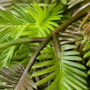 Plantes artificielles suspendues, lianes décoratives pour mur végétal, simulation de lianes pour mariage, maison, fête - Product Image 3