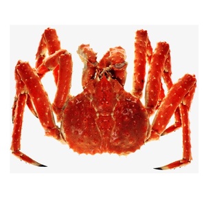 Prix attractif pour les pattes de crabe royal - Achetez des crabes royaux entiers surgelés en ligne avec livraison - Product Image 5