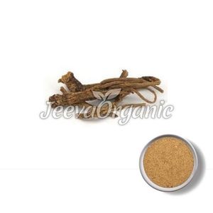 Venta caliente de calidad superior Yerba Mansa extracto de té instantáneo en polvo extracto de plantas de hierbas Premium - Product Image 1