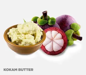 Beurre de Kokum hydratant biologique toute la journée à usage cosmétique disponible dans la meilleure qualité auprès de l'exportateur et du fabricant indiens