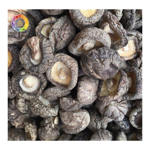 Hongos Shiitake Secos Premium, Hongos Chinos Secados al Sol Naturalmente para Exportación y Procesamiento de Alimentos - Product Image 4