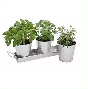 Nuevo último diseño de macetas para decoración del hogar, Juego de 3 macetas galvanizadas para decoración de jardín interior y exterior, macetas para plantas - Product Image 6