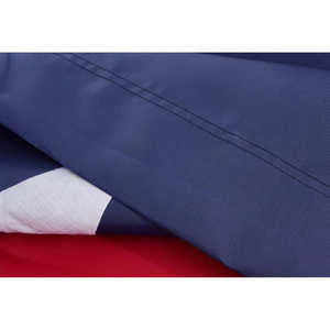 Bandera de Texas de 3x5 pies con flecos dorados, estrellas bordadas personalizadas, 4 filas de puntadas inferiores, para uso en interiores, hecha en EE. UU. - Product Image 3