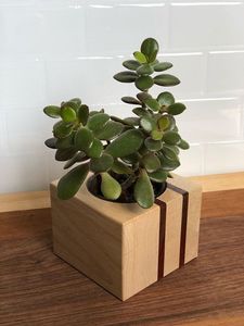 Artisanat pot de fleurs en bois souhaitant bien jardinière arrière-cour décor de jardin créatif jardinières en bois écorce pots de fleurs jardin - Product Image 5