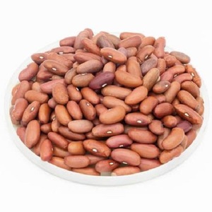 Venta al por Mayor de Frijoles Rojos Oscuros Secos, Cultivar Común, Procesados con Método AD, a Granel, 25 kg, Tailandia - Product Image 1