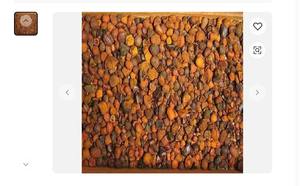 OX Gallstone Organic Gallstone Vaca Suministros Grado industrial 1kg Bolsas 2ton 5 días Bezoars - Product Image 6