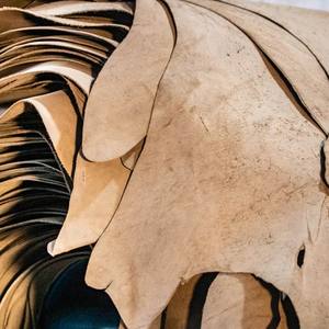 สกินกึ่งแปรรูปหนังแพะเกรดส่งออกสำหรับอุตสาหกรรมรองเท้าและงานหัตถกรรมเครื่องหนัง - Product Image 1